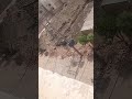 jcb ki khudaii