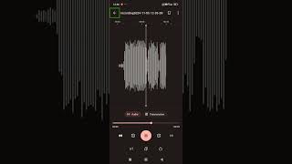 new AI voice recorder very access Bull application to visually impaired. screenshot 2