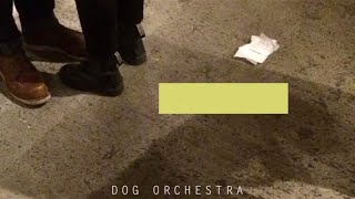 Dog Orchestra - Club Fragile
Listen to Dog Orchestras EP, Meow, featuring Club Fragile, on Spotify: https://open.spotify.com/album/5auvtE1jTyTzb7VavbJD3R
Dog Orchestra – “Club Fragil” This new track was recently featured at http://www.BitCandy.com Music Filter and Crowd Sourced label for Indie, Indie Pop, Alternative Chill and EDM. Check us out for our new favorites.
All rights have been cleared by copyright holders. If there is any objection to this video please send an email to bitcandymusic@gmail.com . We only aim to help support and promote the artists and their great songs.
Dog Orchestra, a Swedish collective coming to us via Berlin, has released their debut EP, Meow, featuring Club Fragile
For more on BitCandy...were a music filter for the best new indie music on the planet. You can catch the best of our music picks here http://www.BitCandy.com where we listen to hundreds of tracks per day and filter just the best for you on a daily basis.
Soundcloud
https://soundcloud.com/dog-orchestra
Facebook
https://www.facebook.com/dogorchestra
Spotify
https://open.spotify.com/artist/1kyTjoLy5Ec4ztAlxKpw2G
iTunes
https://itunes.apple.com/us/album/meow-ep/id1130935927
Subscribe to BitCandys YouTube Channel here: https://www.youtube.com/user/BitCandyMusic
We hope you enjoyed our video...if you did, feel free to give us a thumbs up!
And for more on BitCandy follow us here:
Soundcloud: https://soundcloud.com/BitCandy
Facebook: https://www.facebook.com/BitCandy
Twitter: https://twitter.com/BitCandy
Instagram: https://www.instagram.com/BitCandy Dog Orchestra - Club Fragile