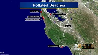 Report Some Bay Area Beaches Among Most Polluted In State