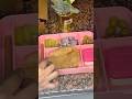 Mini vlog | Lunch box recipes |Daily vlogs | Dubai #shorts #viral #trending #food