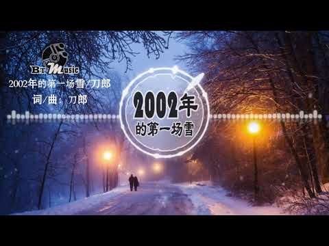 『2002年的第一场雪』刀郎【忘不了把你搂在怀里的感觉，比藏在心中那分火热更暖一些..】🎧🎼※{ 动态歌词 Lyrics }※❤️
