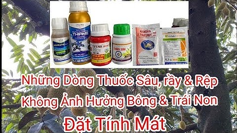 Những Dòng Thuốc Sâu, Rầy & Rệp Sáp Mát Cho Bông Và Trái Non #0869429934#kythuatsaurieng.