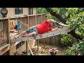Idiots With Chainsaws: Tree Cutting Fails | Extreme Dangerous Logging Truck Fails #40