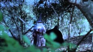 DARTH VADER vs GANDALF - ¡BATALLA ÉPICA!