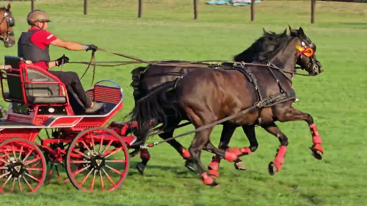 2024 07 13 18:27:16 Staféta fogathajtó verseny
