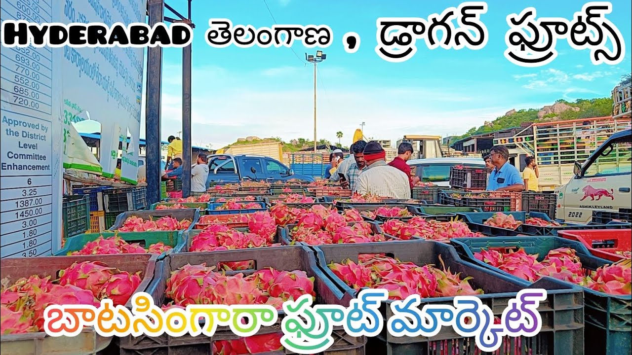 #today #batasingaram ఫ్రూట్ మార్కెట్ #dragonfruit #like #live #యాక్షన్ ...