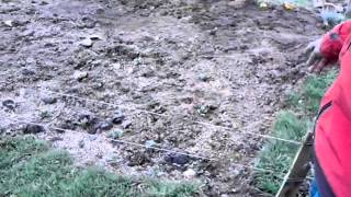 Trabajando en la huerta de La Hoya, cooperativa Con los Pies env la Tierra y El Canto del Huerto