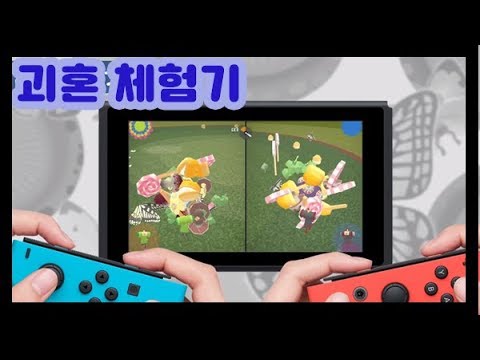 닌텐도스위치 괴혼 체험기