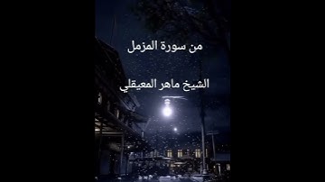 من سورة المزمل  الشيخ ماهر المعيقلي #fypage #fypシ #islam #القرآن_الكريم_راحة_نفسية #viral #foryou #
