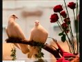 YouTube مطرحك بقلبي شادي اسود mp3