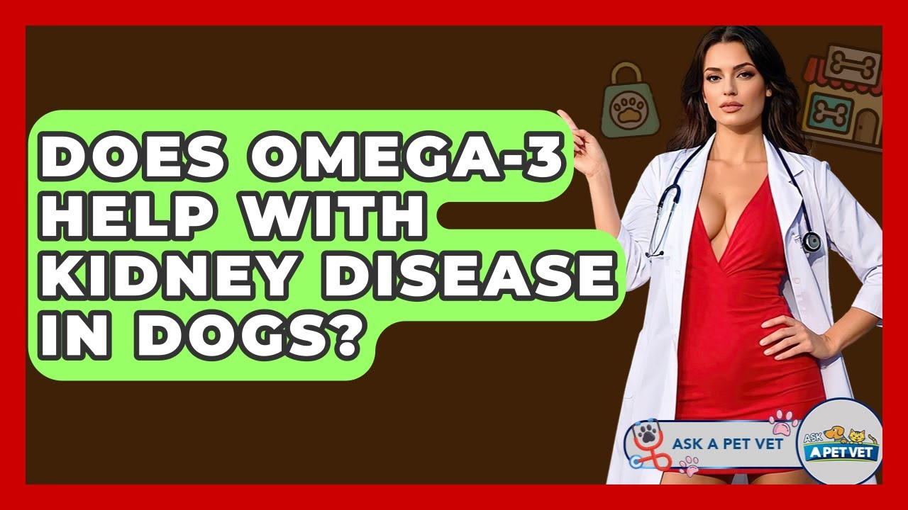 Does Omega-3 Help With Kidney Disease In Dogs? - Ask A Pet Vet