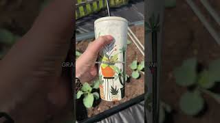 Prickly pear in stock AND has limited time coupons!? Corkcicle #summervibes #corkcicle