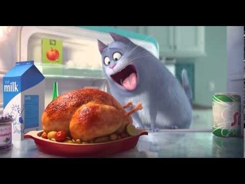 Трейлер 2016 - Тайная жизнь домашних животных / Secret Life of Pets (2016) | Русский тизер-трейлер