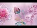 Blender addon：Flower Growth2.0（Rose）Introduction/Usage Tutorial/Model Surface Optimization Tutorial
