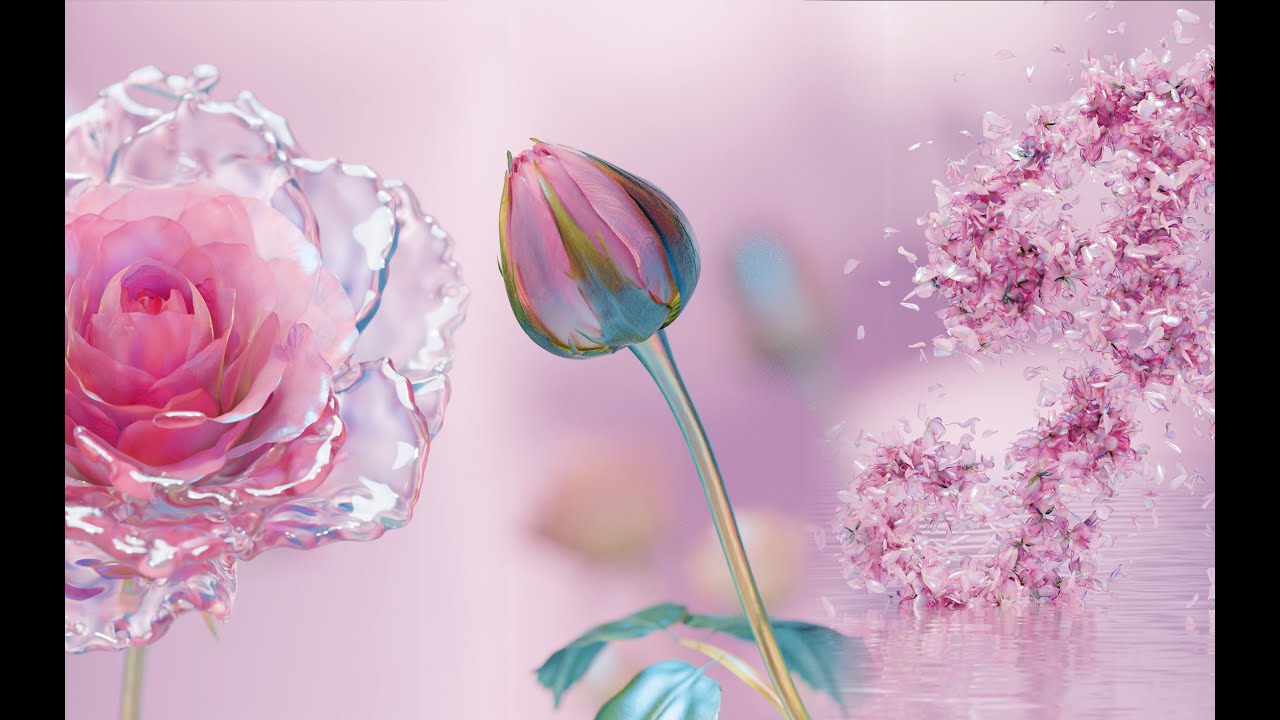 Collision born for flower：Flower Growth2.0（Rose）Panel