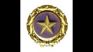 Gold Star tribute 2022