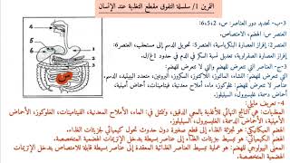 سلسلة تمارين مقطع التغذية عند الإنسان رابعة متوسط
