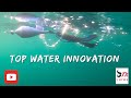 "Mastering Topwater Bass Fishing: TX 10 Lure Review &amp; Underwater Insights"