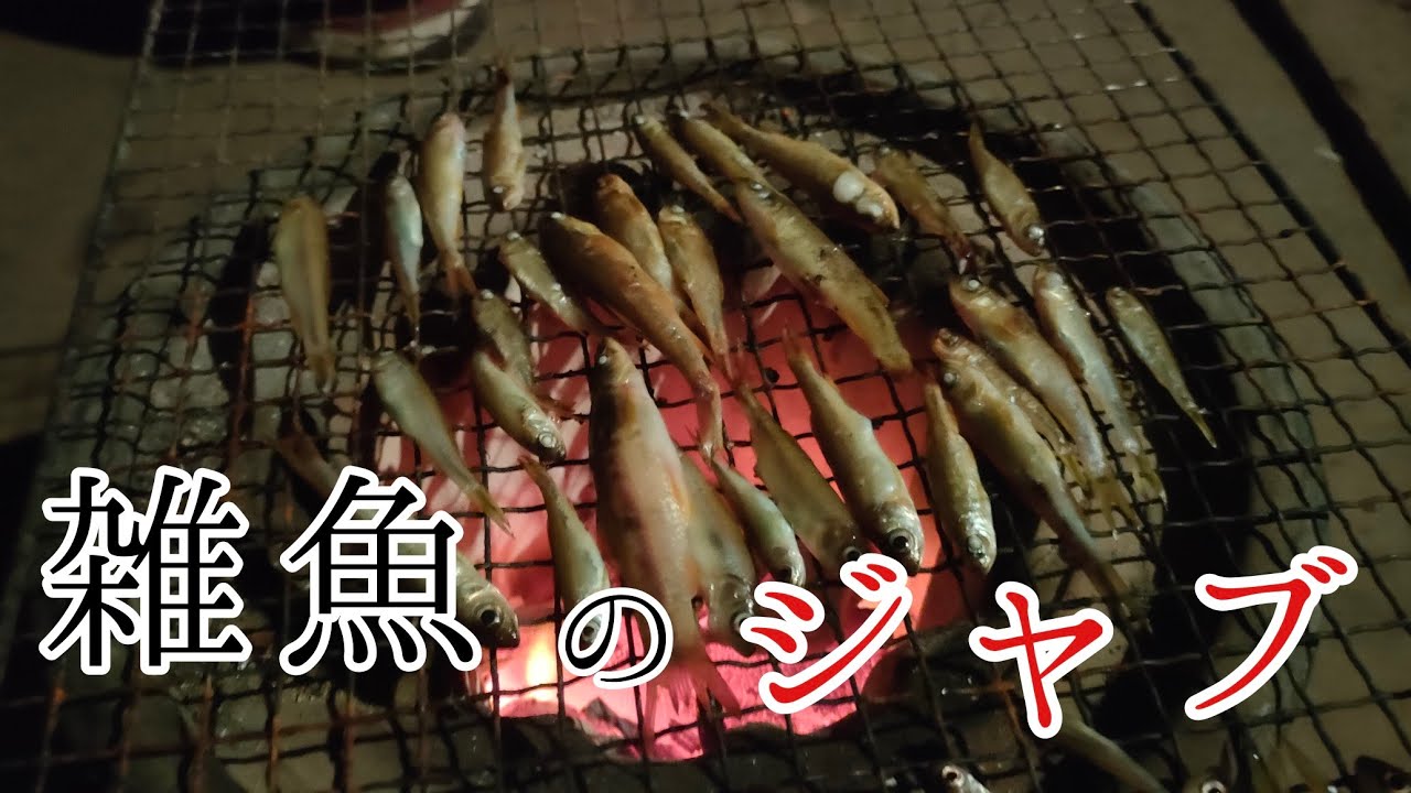 雑魚を集めてじゃぶを作る - YouTube