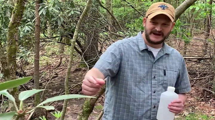 Mountain Creek Stream and Floodplain Restoration