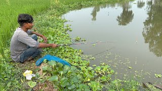Hook Fishing Video ~ Traditional Hook Fishing 🎣🐟 Village Daily Life (Part-475)