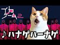 イカゲーム２の歌まちがえまくる猫【猫アニメ】【コント】