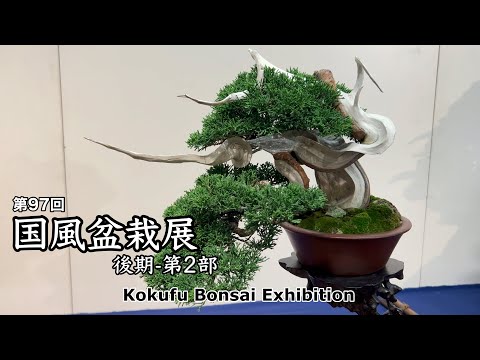 第97回 国風盆栽展 [後期-第2部]／The 97th Kokufu Bonsai Exhibition