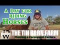 Riding Horses  | Planting Permanent Pasture