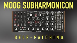 Let's Self-Patch the Moog Subharmonicon Like She’s the Runt of the Litter