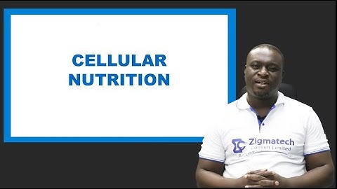 BIOLOGY | CELLULAR NUTRITION | EXAM GUIDE | LEARNING HUB | ZIGMATECH CONSULT LIMITED | EXAMGUIDE