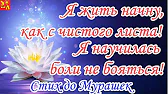 Вкусно Легко и Доступно!