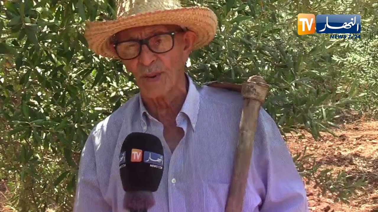 قالمة: بسبب عدم توفر مياه السقي..   أكثر من 2000 شجرة مثمرة مهددة