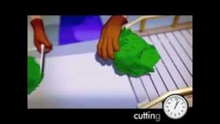 Fresh cut vegetables process