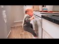 The Ultimate Try Not To Laugh Challenge ЁЯШВ Funny Baby Videos BEST OF THE WEEK Part 40 The Ultimate Try Not To Laugh Challenge ЁЯШВ Funny Baby Videos BEST OF THE WEEK Part 40