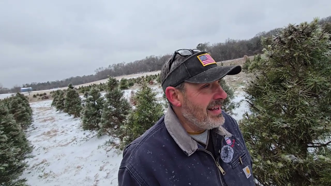 Christmas Tree Farming: Why I'm Quitting After Six Years and 6000 Trees 