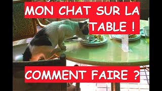 Votre chat monte sur la table  comment faire ?