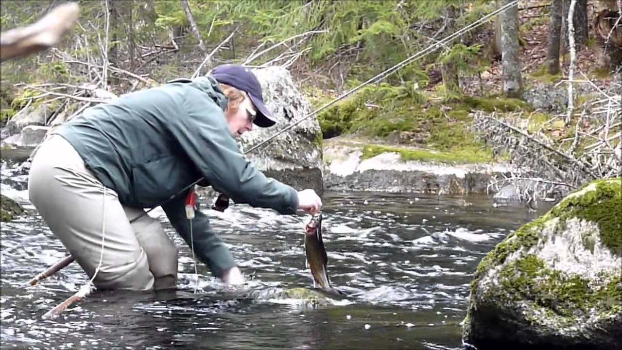 Nova Scotia fly-fishing part 55 - YouTube