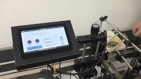 Automatic Pouch bag printing Machine with Paging Conveyor, bag sealer with inkjet printer