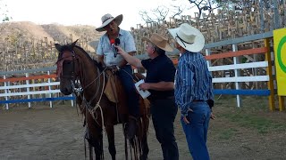 TV CABALLOS SUBASTA Y EXHIBICIÓN SAN BLAS 2024