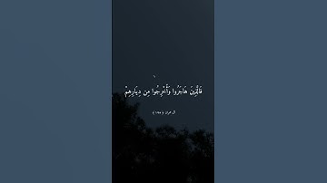 فَاسْتَجَابَ لَهُمْ رَبُّهُمْ أَنِّي لَا أُضِيعُ عَمل عامل مِّنكُم | تلاوة خاشعة بصوت #ماهر_المعيقلي