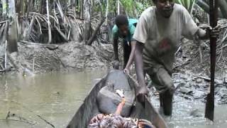 fishing  Asmat Papua