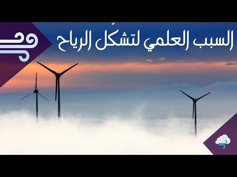 فيديو: ما هي الرياح الأربع؟
