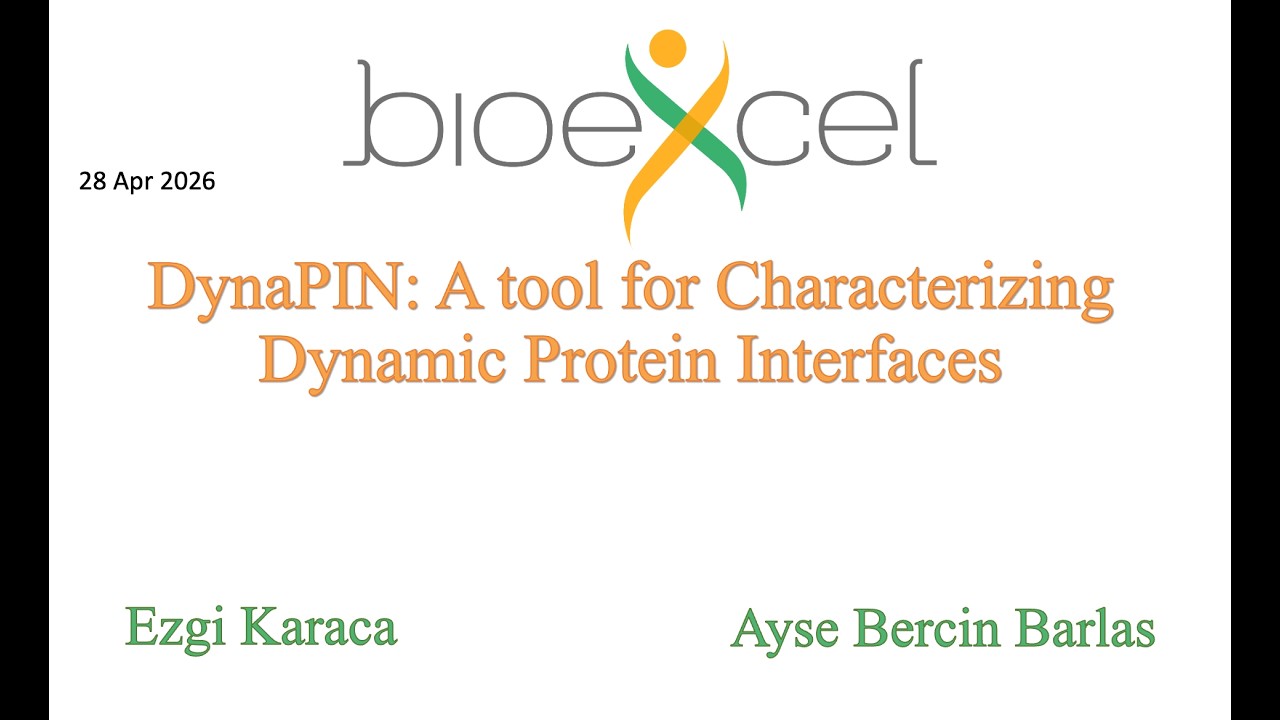 Thumbnail for Bioexcel Webinar #95: DynaPIN: A Tool for Characterizing Dynamic Protein Interfaces