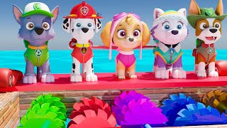 PAW Patrol OVERCOMES Rock fall And Saw blade for the gold trophy || Paw Patrol 3D