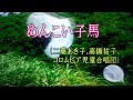 めんこい子馬 戦時歌謡 二葉あき子/高橋祐子/コロムビア児童合唱団 Cover