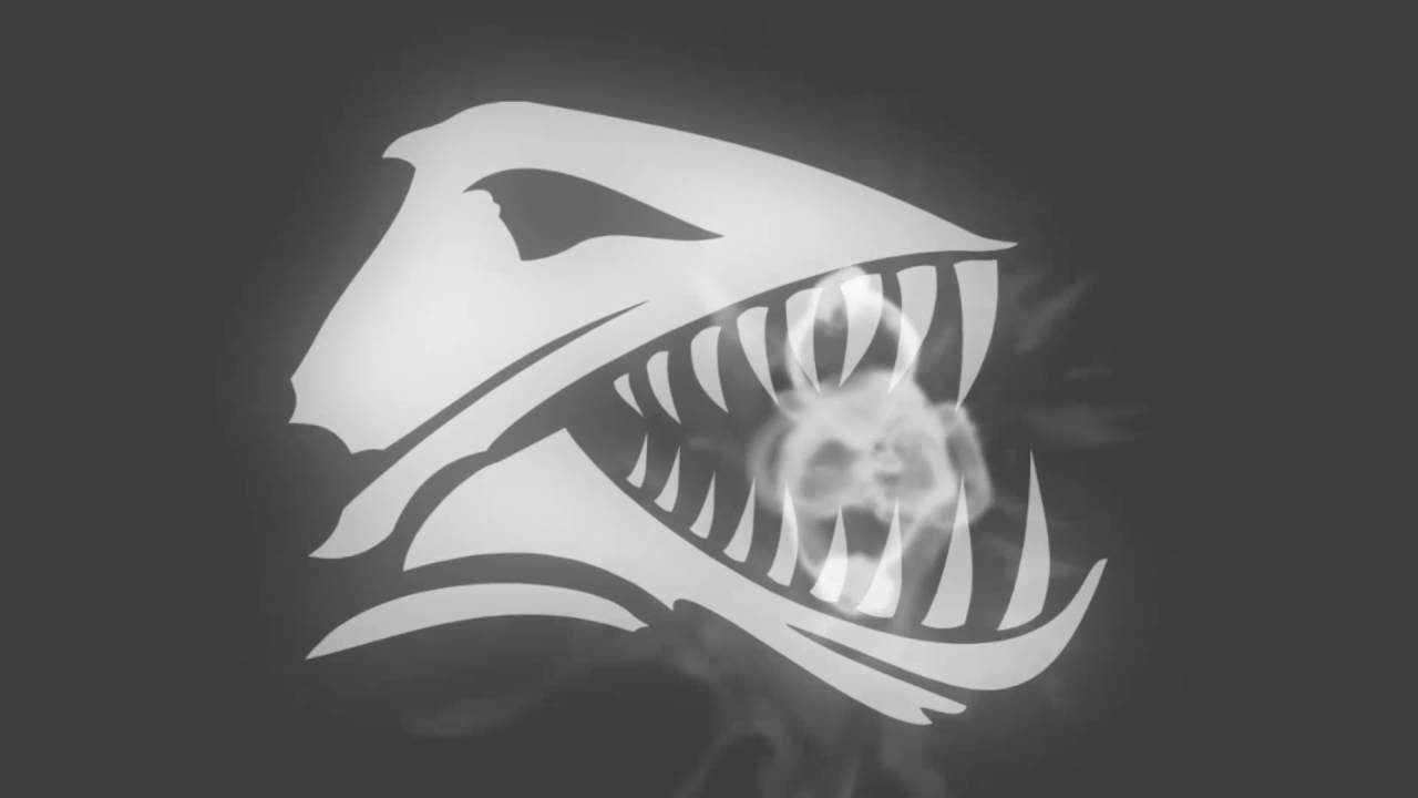 Ataque, Tucunaré grande rebocando Caiaque Shark.