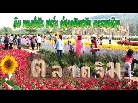 ไร่จิม ทอมป์สัน ฟาร์ม อำเภอปักธงชัย นครราชสีมา Jim Thompson Farm