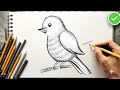 Cómo Dibujar un PÁJARO Realista con un solo LÁPIZ (Paso a Paso)