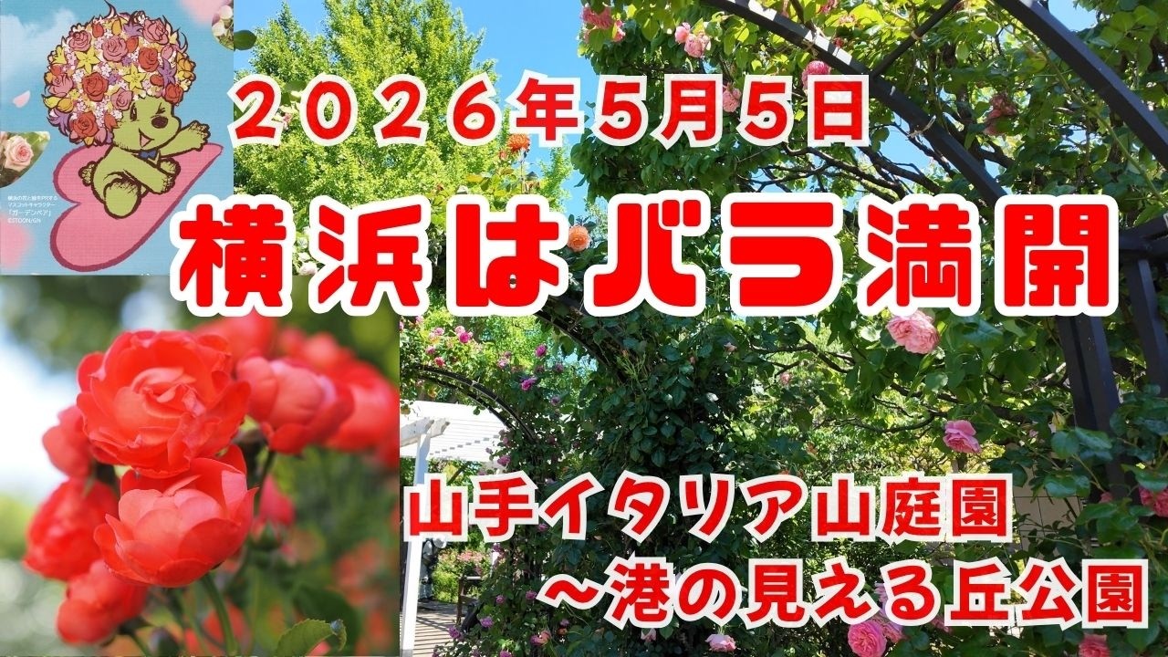 バラが満開の横浜 山手〜港の見える丘公園散歩 - YouTube